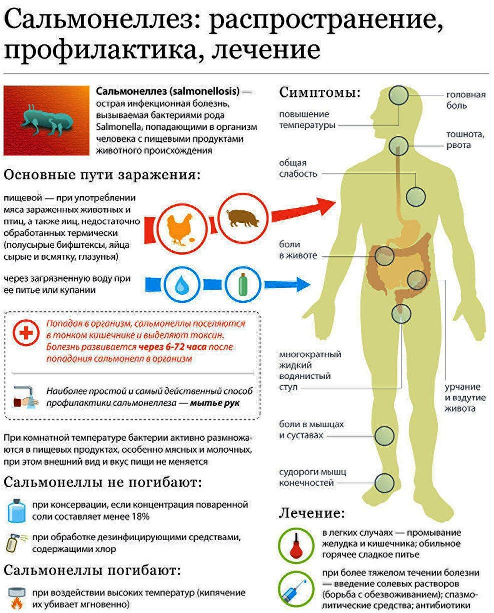 План ухода при сальмонеллезе