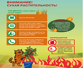 Внимание! Сухая растительность!