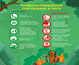 Правила поведения при пожаре в лесу