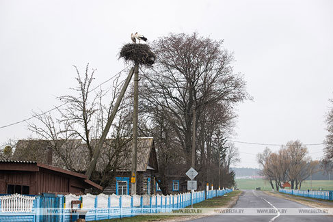 n 1 200226 7