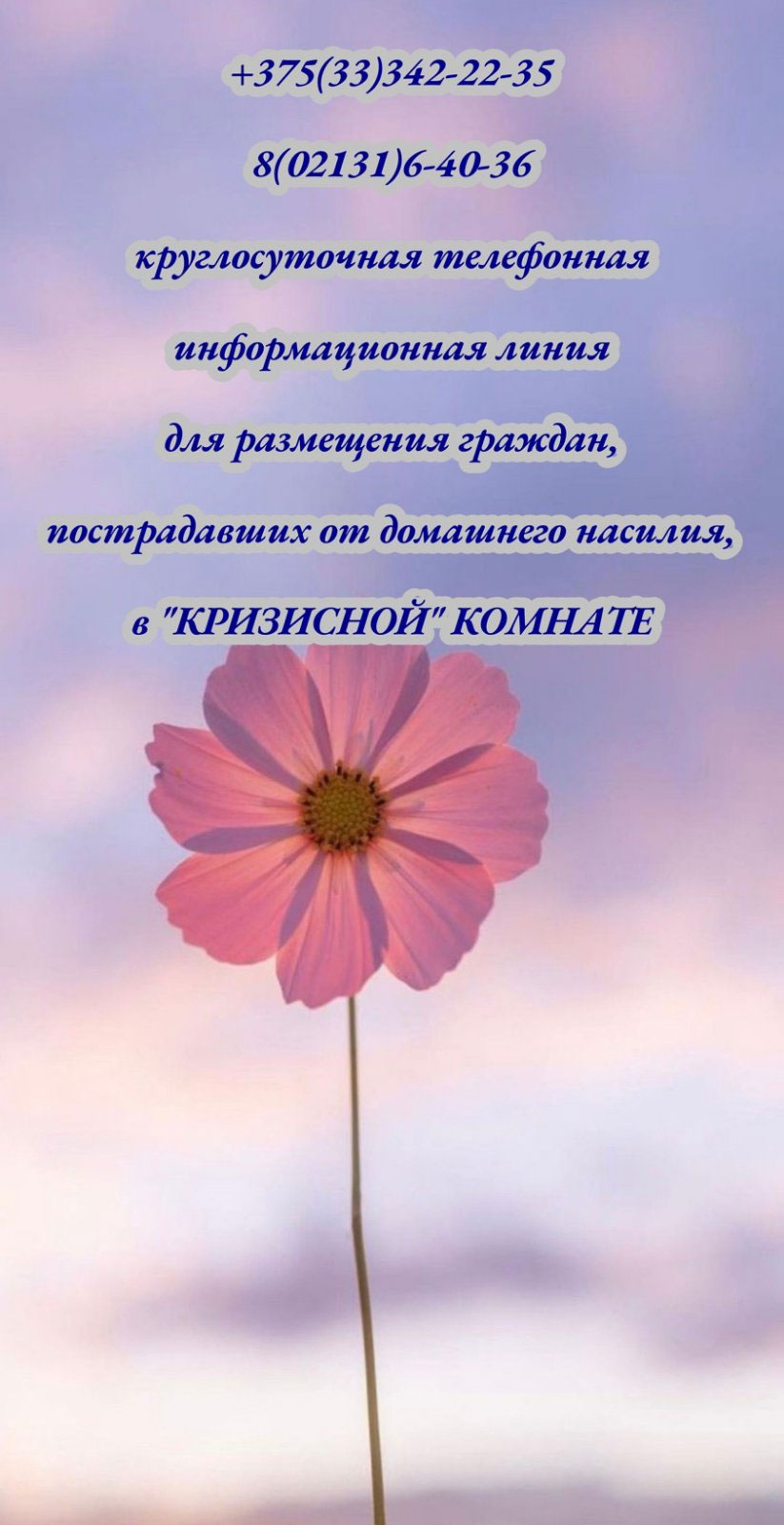 n 3 130226 1